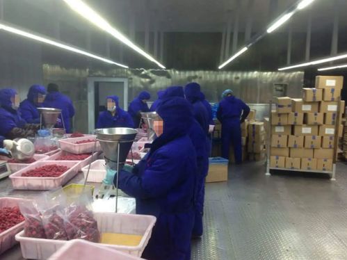 情義與拼搏 百元相助鋪就的創業之路